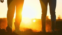 Close up people feet are walking on black earth soil on agricultural land in rubber boots in nature on field in summer at sunset and dust rises in sun. Couple of rural farmers in family business.