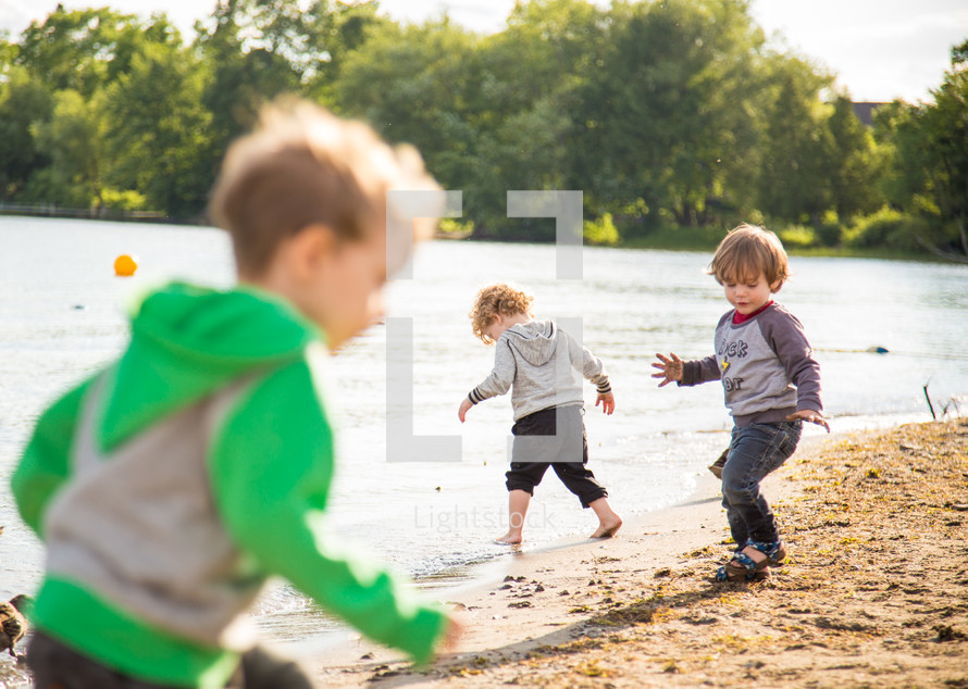 children chasing ducks on a beach 