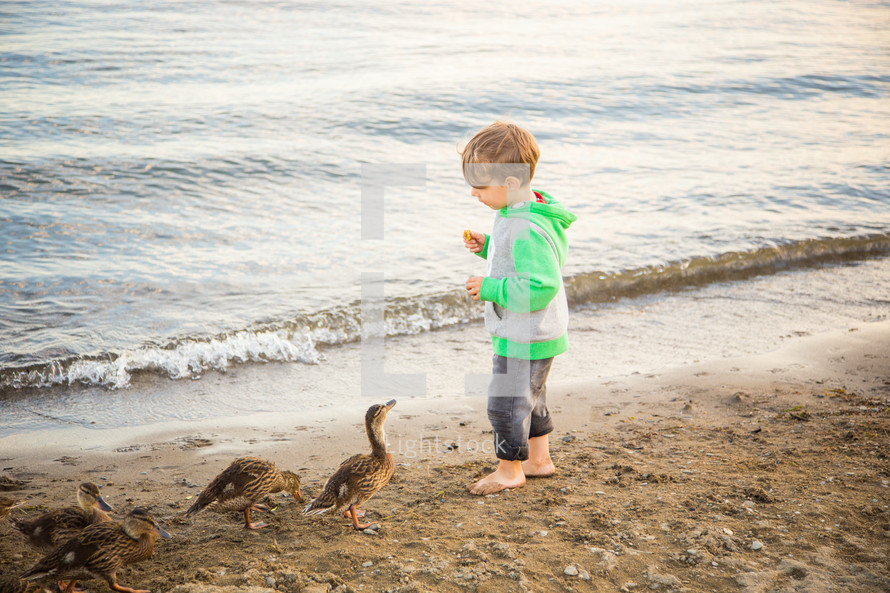 children feeding ducks on a beach 