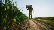 Man farmer walks through field with basket of crops and shovel. Harvesting fresh crops in field in agricultural area. Production of natural healthy eat. Growing and selling large volumes of products.