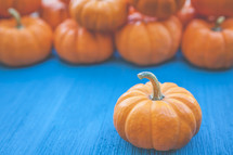 Autumn Thanksgiving Pumpkins Background