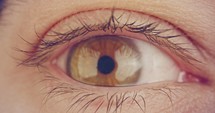 Extreme macro shot of a brown male human eye