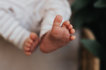 infant foot 