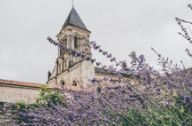 purple wildflowers and a church 