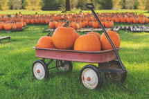pumpkin patch wagon background for bulletin event slide social