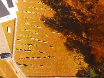 aerial view over a cemetery 