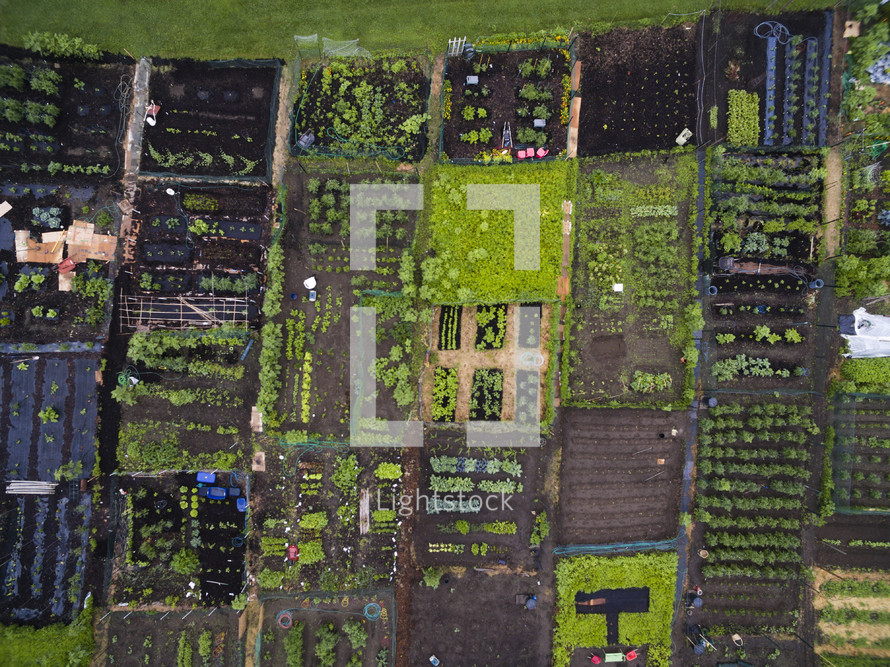 aerial view over a garden 