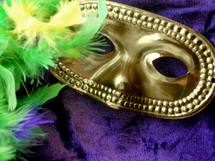 Mardi Gras mask and feathers. 