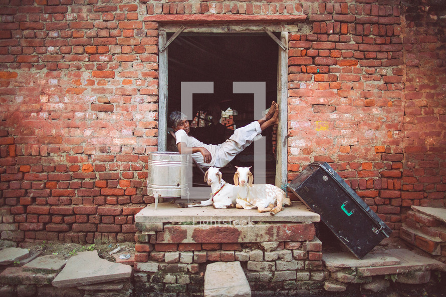A barefoot man with goats on the porch sitting in the doorway of an old brick building, leading out into the alley.