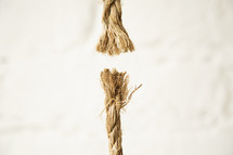 Frayed ends of a rope on a white background.