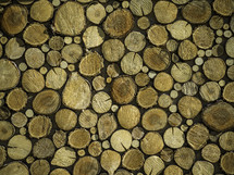 wood logs background texture 