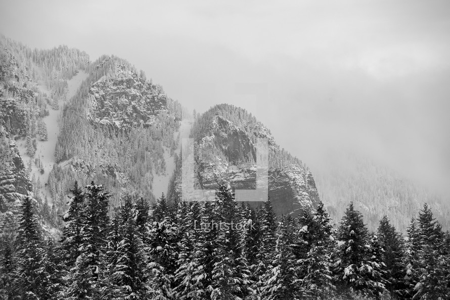 snow on a mountain peak and evergreen trees 