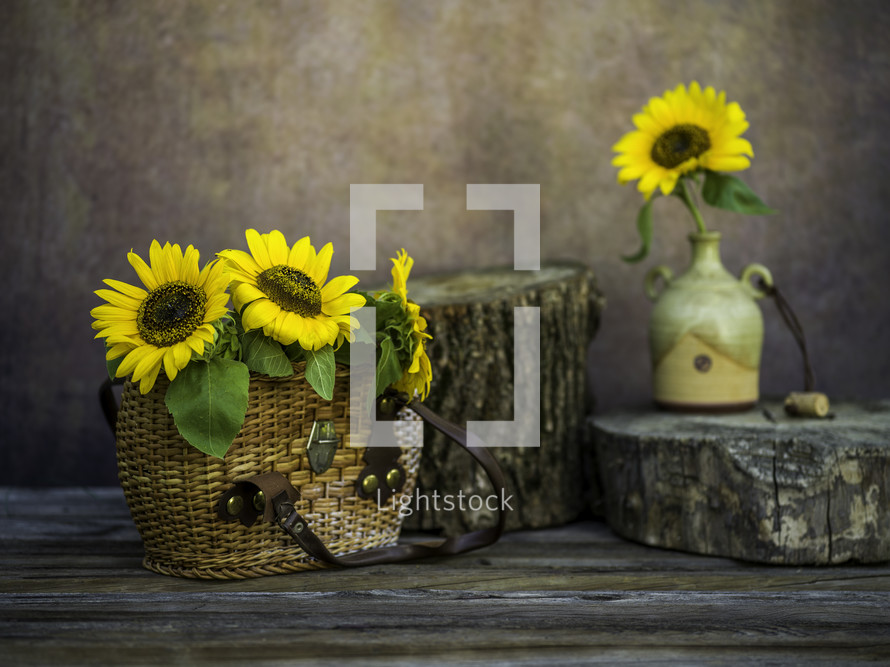 basket of sunflowers 