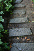 path of stepping stones 