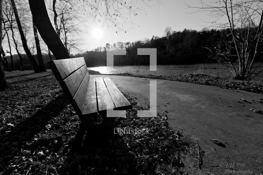 park bench along a path 