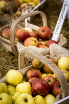 Baskets of Fall Apples
