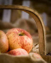 red apple in basket