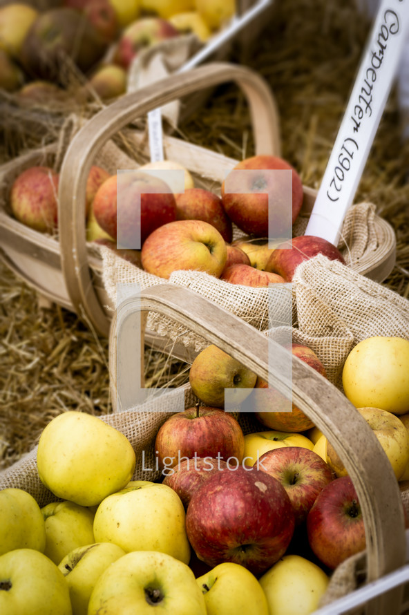 Baskets of Fall Apples