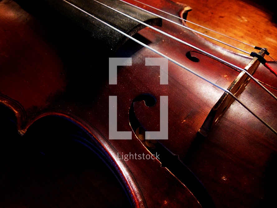 strings and bridge on a violin 