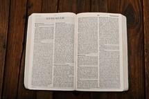 Scripture Titles - Nehemiah