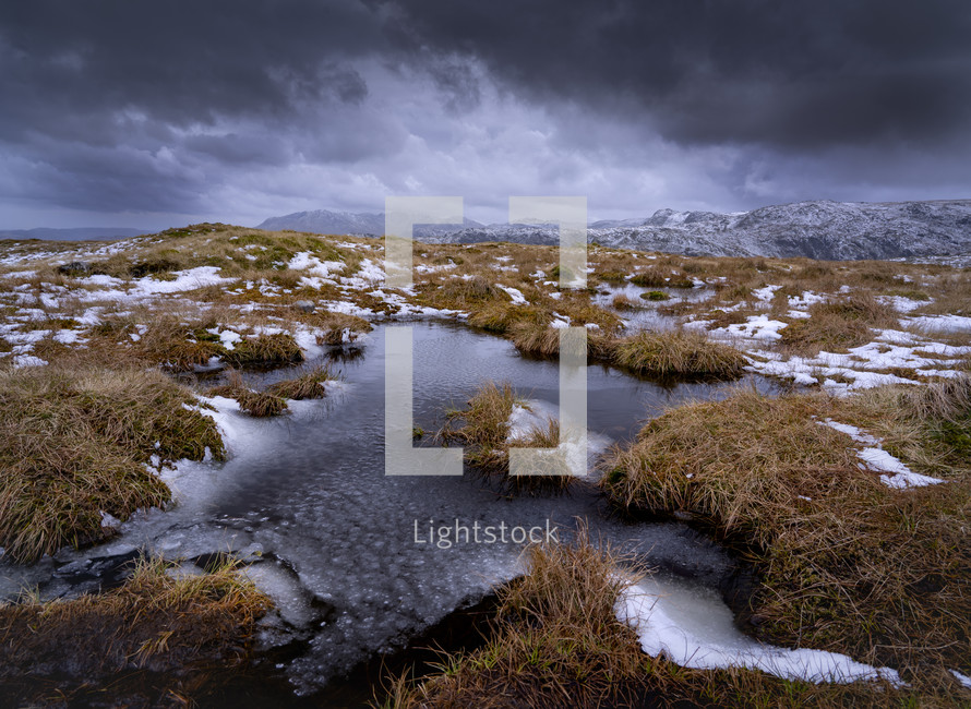 winter marsh landscape with snow 