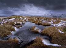 winter marsh landscape with snow 