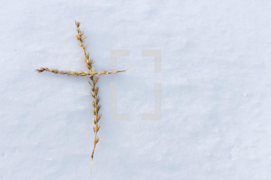 wheat cross in snow 