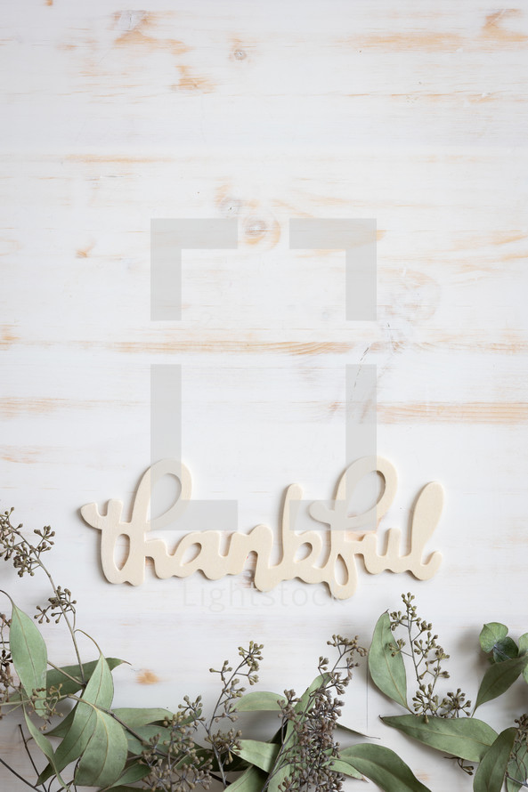 Word thankful with border of greens on a white background