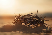 The crown of thorns lying in the sand