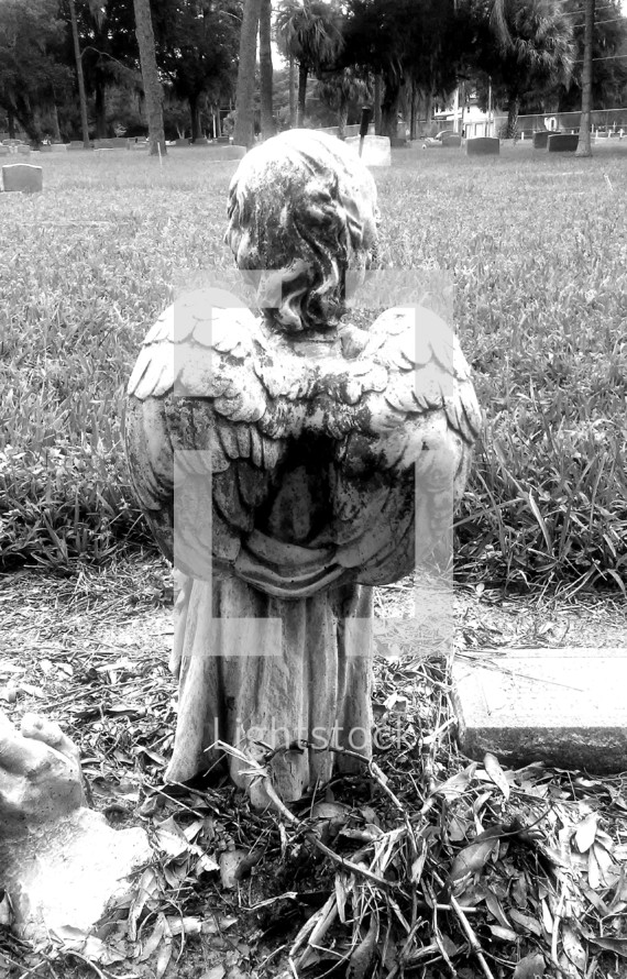This little winged Angel has stood watch over this cemetery for years. 