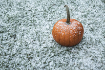 pumpkin on a snow covered lawn 