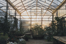 inside a greenhouse 