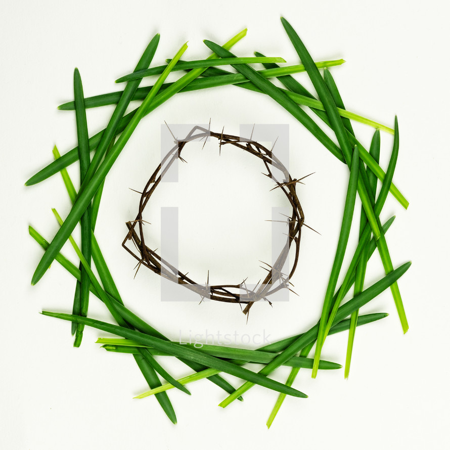Easter wreath of grass blades and a crown of thorns 