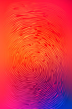 Abstract fingerprint design with a warm color gradient shifting from red to blue.