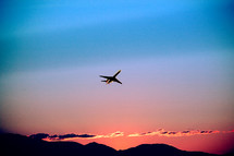 airplane in flight at sunset.