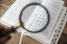 hand holding a magnifying glass over the pages of a Bible 