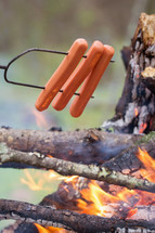 cooking hotdogs over a campfire 