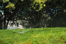 Water sprays on the lawn