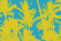 yellow palms 