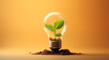 Green plant growing in a light bulb on an orange background.