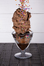 A Chocolate Ice Cream Sundae in a Glass Bowl with Sprinkles and Chocolate Syrup