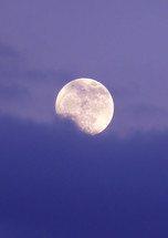 blue moon 
