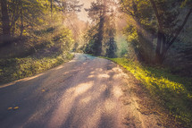 sunlight shining on a rural road 
