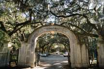arched entrance and Spanish moss on trees 