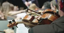 Musician playing Violin during a classical music rehearsal before a concert