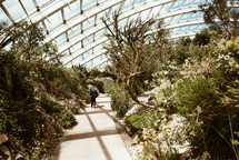 child walking on a path in a Botanical garden greenhouse 