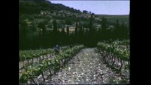 Menashe Heights, Israel, Circa 1940's. Color footage of Israeli farmers working in the fields growing crops