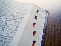 edge of pages of a Bible 