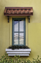 window and window planter