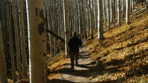 A woman hiking in an Aspen forest in Autumn